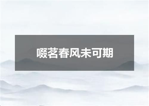 啜茗春风未可期