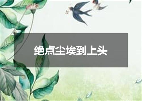 绝点尘埃到上头