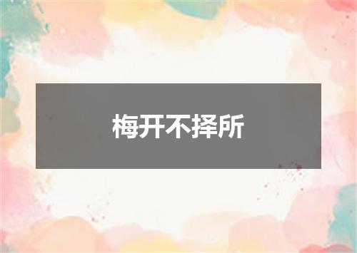 梅开不择所