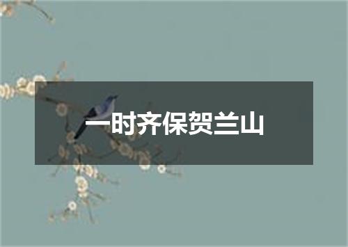 一时齐保贺兰山
