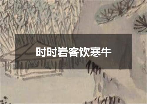 时时岩客饮寒牛
