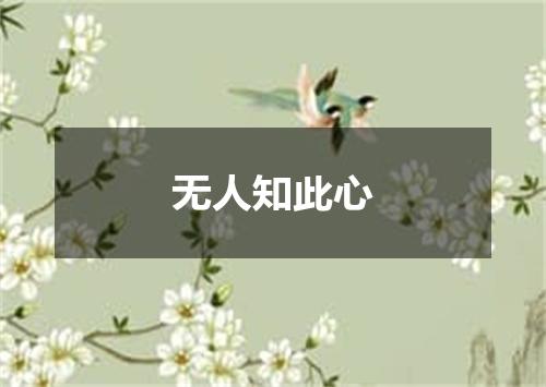 无人知此心