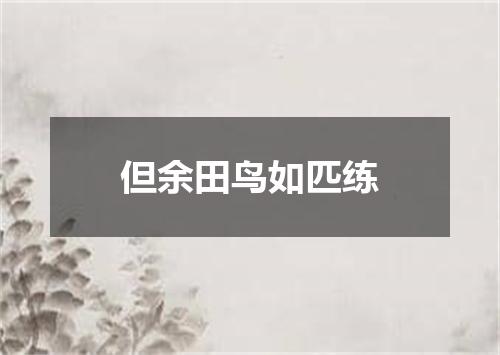 但余田鸟如匹练