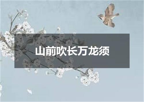 山前吹长万龙须