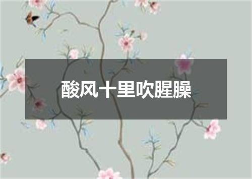 酸风十里吹腥臊