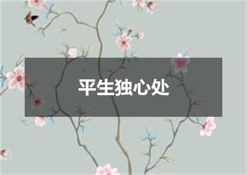 平生独心处