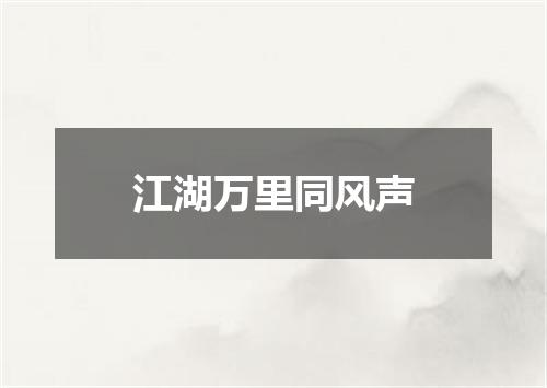 江湖万里同风声