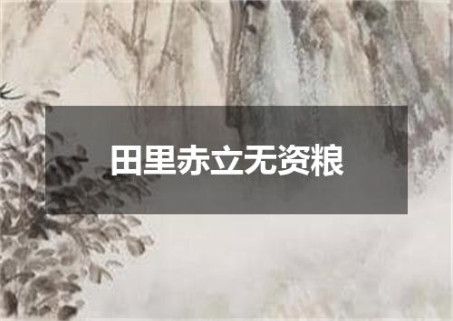 田里赤立无资粮