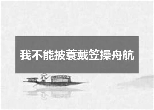 我不能披蓑戴笠操舟航