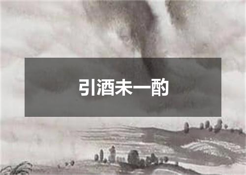 引酒未一酌