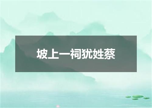 坡上一祠犹姓蔡