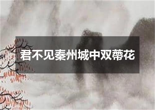 君不见秦州城中双蔕花