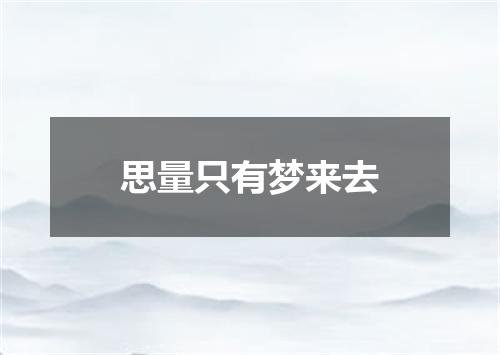 思量只有梦来去