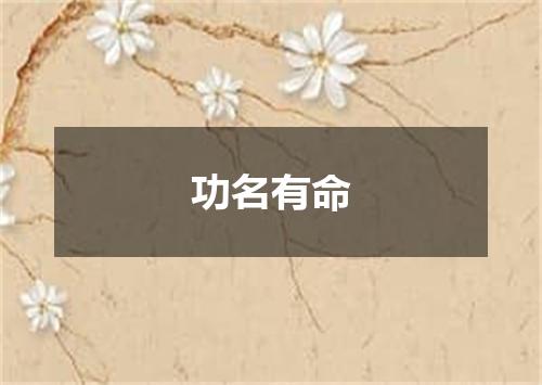 功名有命