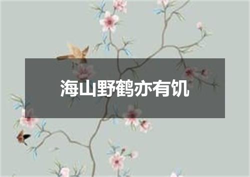 海山野鹤亦有饥