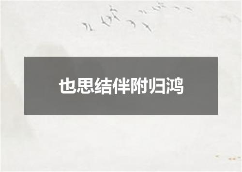也思结伴附归鸿