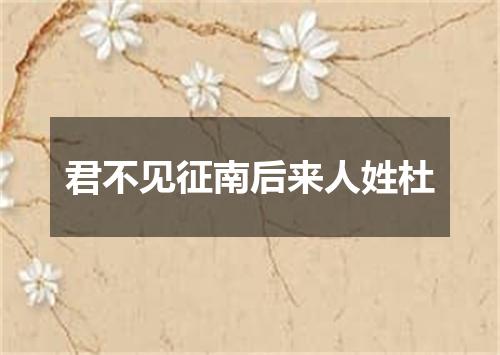 君不见征南后来人姓杜