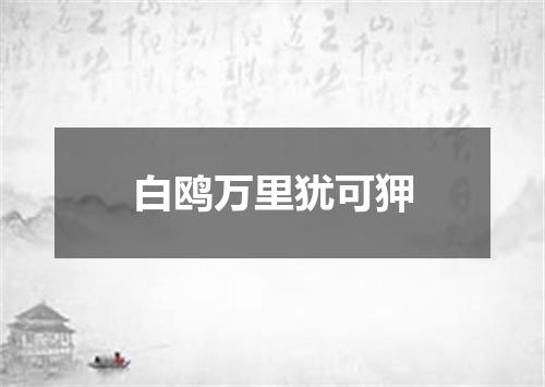 白鸥万里犹可狎