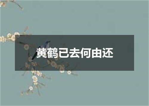 黄鹤已去何由还