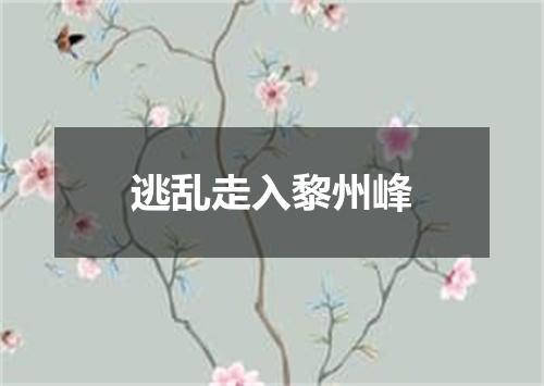 逃乱走入黎州峰