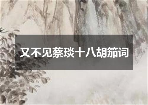 又不见蔡琰十八胡笳词