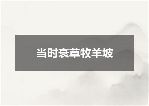 当时衰草牧羊坡