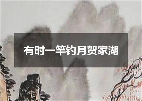 有时一竿钓月贺家湖
