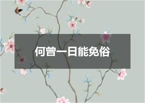 何曾一日能免俗