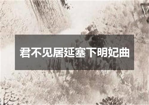 君不见居延塞下明妃曲