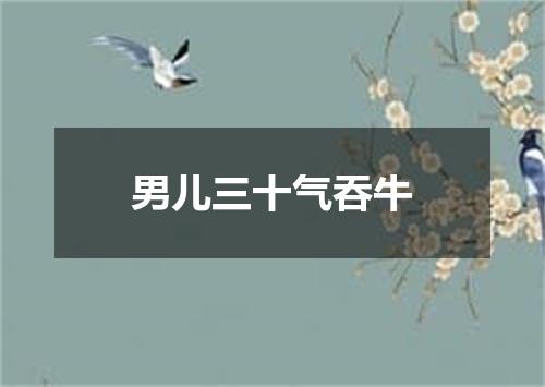 男儿三十气吞牛