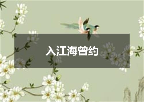 入江海曾约