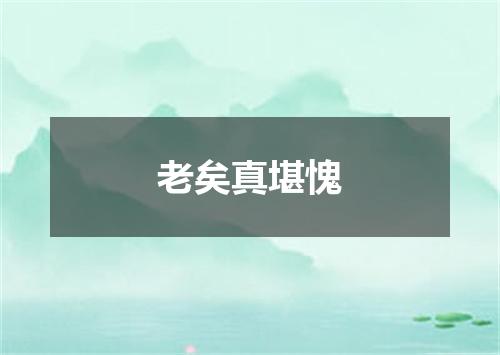老矣真堪愧