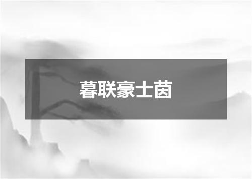 暮联豪士茵