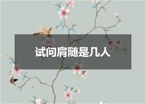 试问肩随是几人