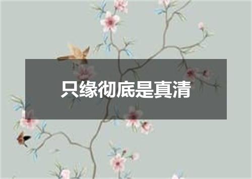 只缘彻底是真清