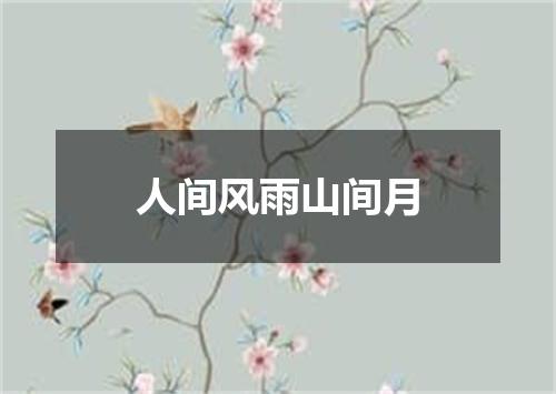 人间风雨山间月
