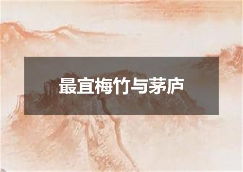 最宜梅竹与茅庐