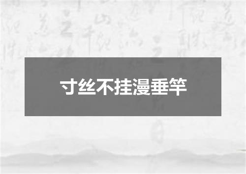 寸丝不挂漫垂竿
