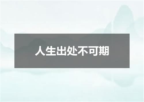 人生出处不可期