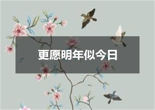 更愿明年似今日