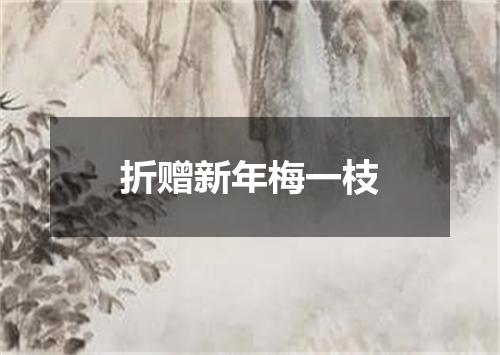 折赠新年梅一枝