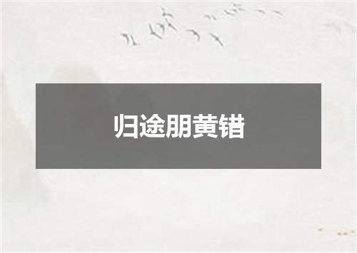 归途朋黄错