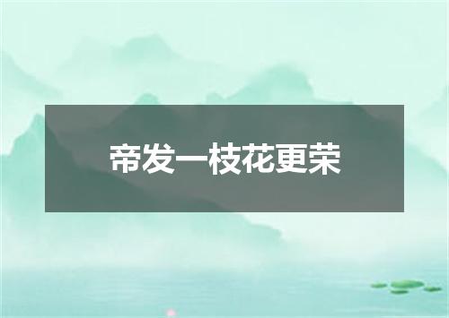 帝发一枝花更荣