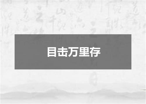目击万里存