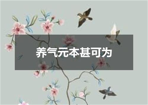 养气元本甚可为