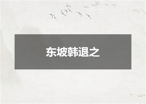 东坡韩退之