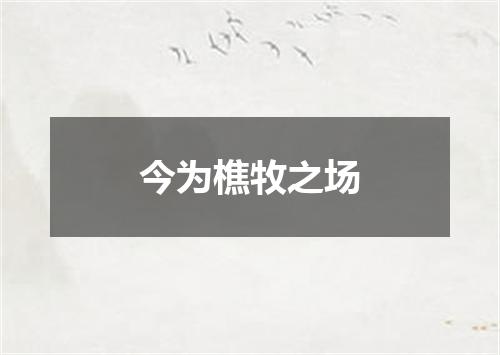 今为樵牧之场