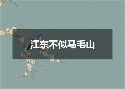 江东不似马毛山
