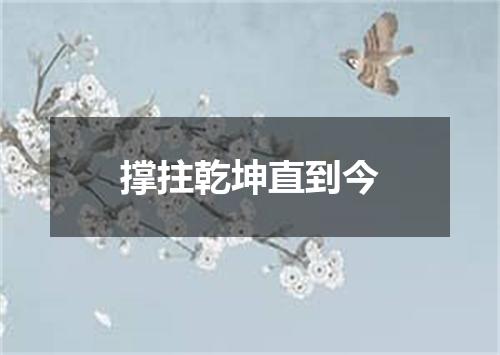 撑拄乾坤直到今
