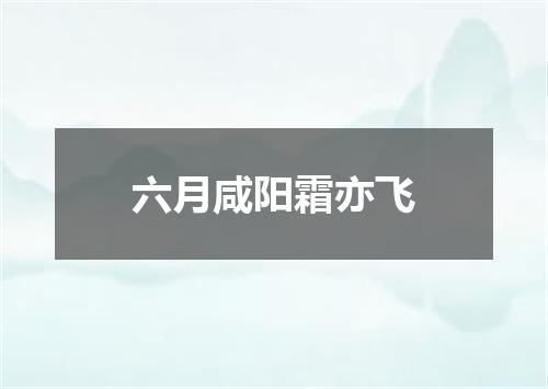 六月咸阳霜亦飞